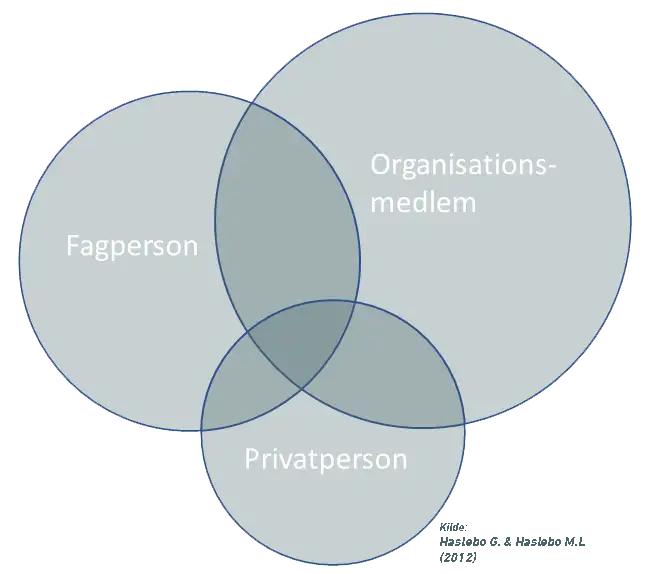Cirkelgraf over sammefaldet imellem Organisationsmedlemmet, Fagpersonen og Privatpersonen