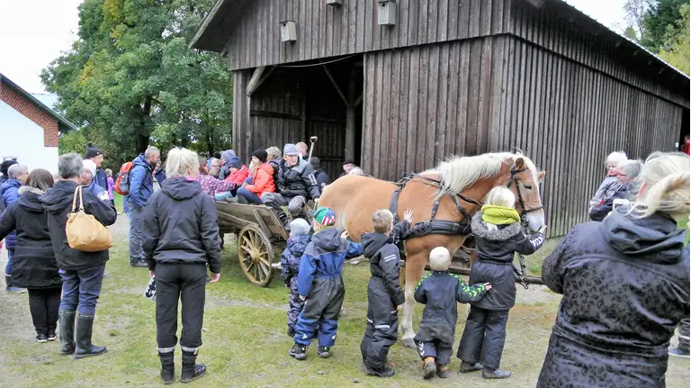 Forældre og børn rundt om hestevogn ved Vendsyssel Museum i Mosbjerg